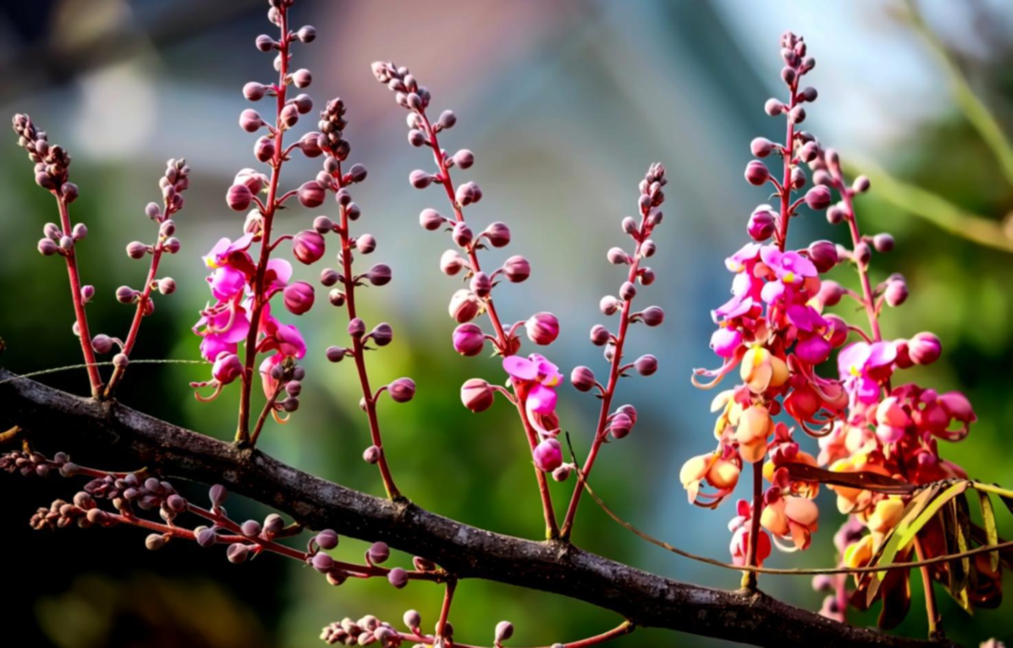 Atelier collaboratif d'écologie industrielle